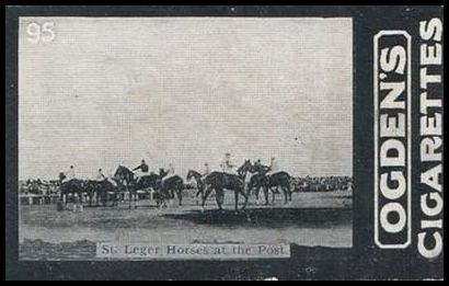 02OGID 95 St. Leger Horses at the Post